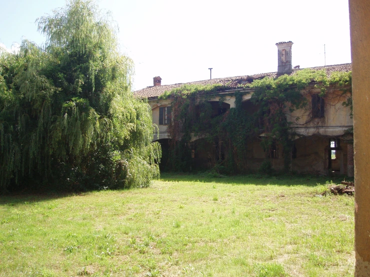 an old house with a very tall overgrown tree next to it