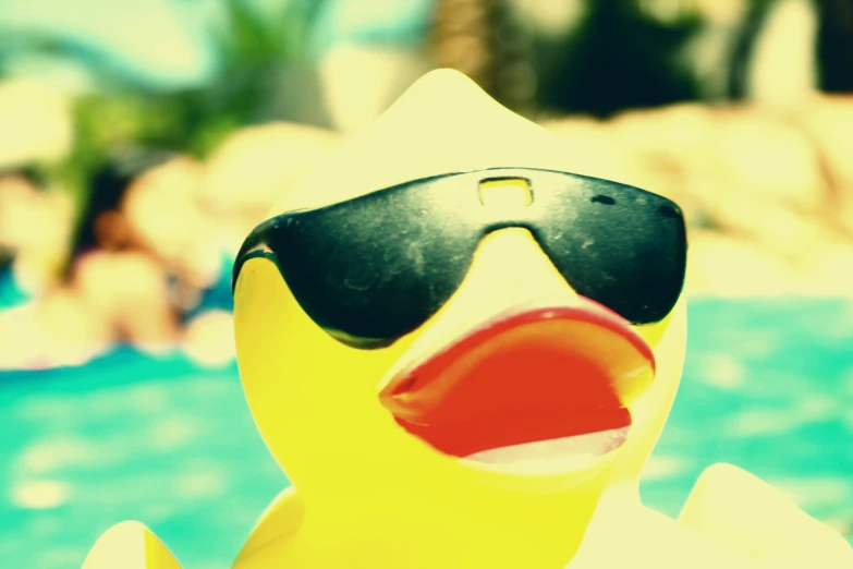 a toy duck is wearing sunglasses near a swimming pool