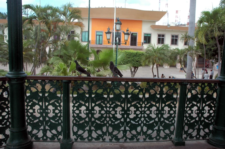 view from a balcony overlooking the back yard and plaza