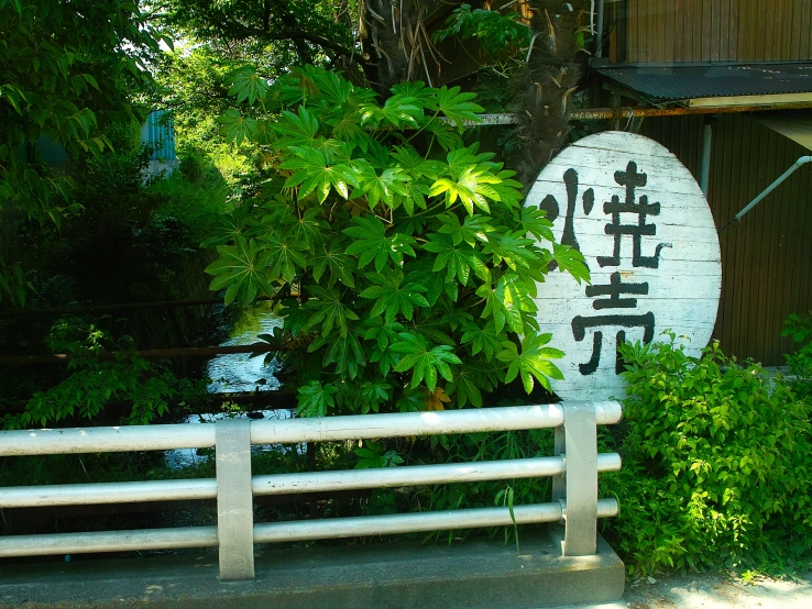 a white painted fence over a small pool in a lush green park