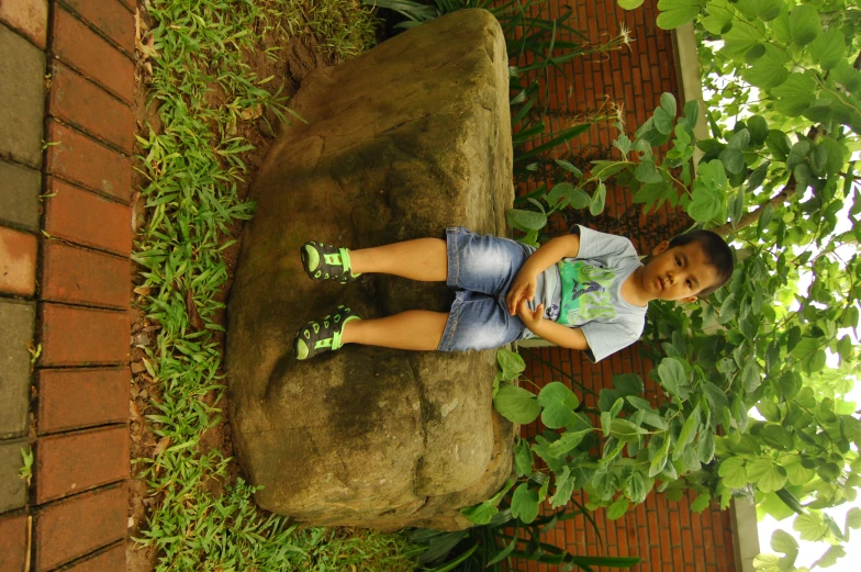  sitting on a rock looking away from the camera