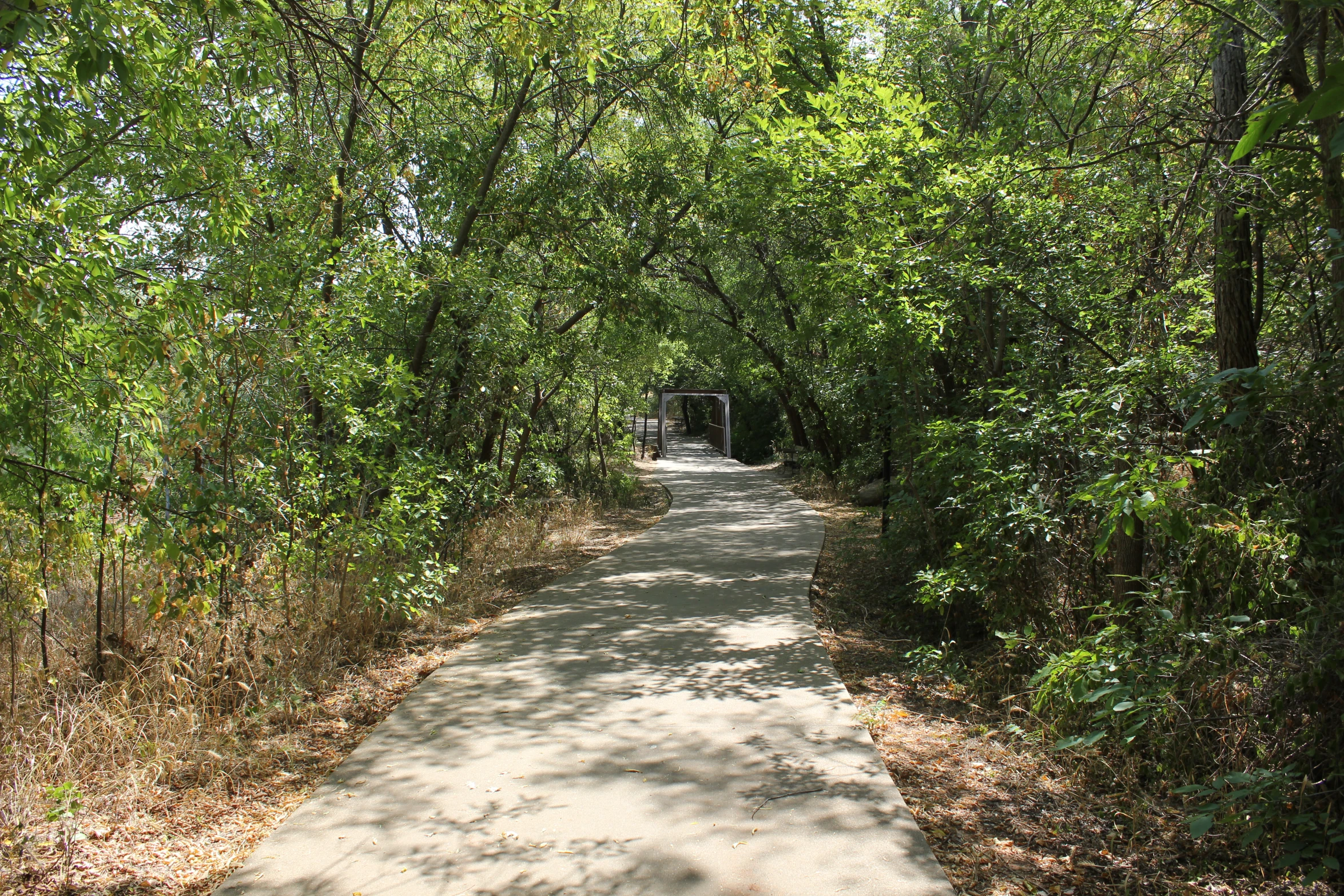 there is a long trail that extends to the trees