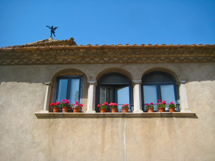 some potted flowers on a ledge and two windows