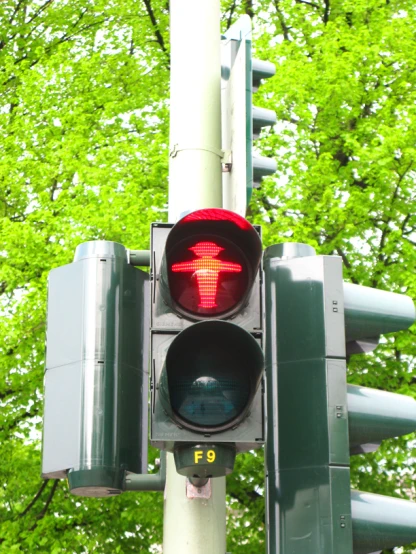 stop light and pedestrian signal on a pole