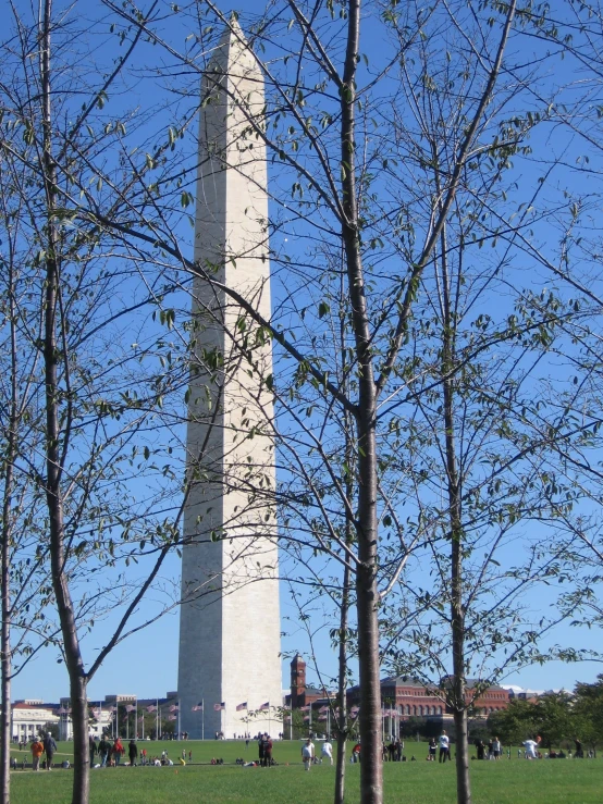 people sit in a park near the washington monument