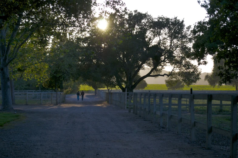 two people walking down a dirt path near a fence