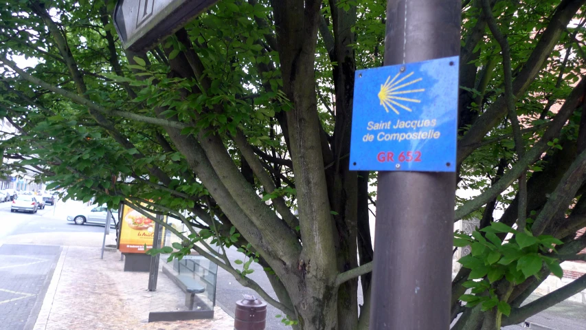 a street sign on a tree that says the community of competition is out