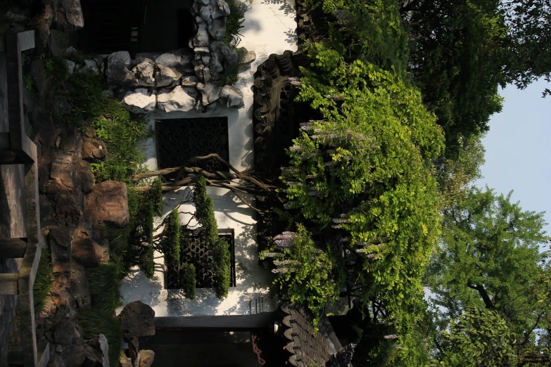 a picture of a garden area with rocks and plants