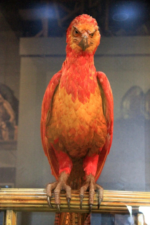 a brightly colored bird is perched on a rail