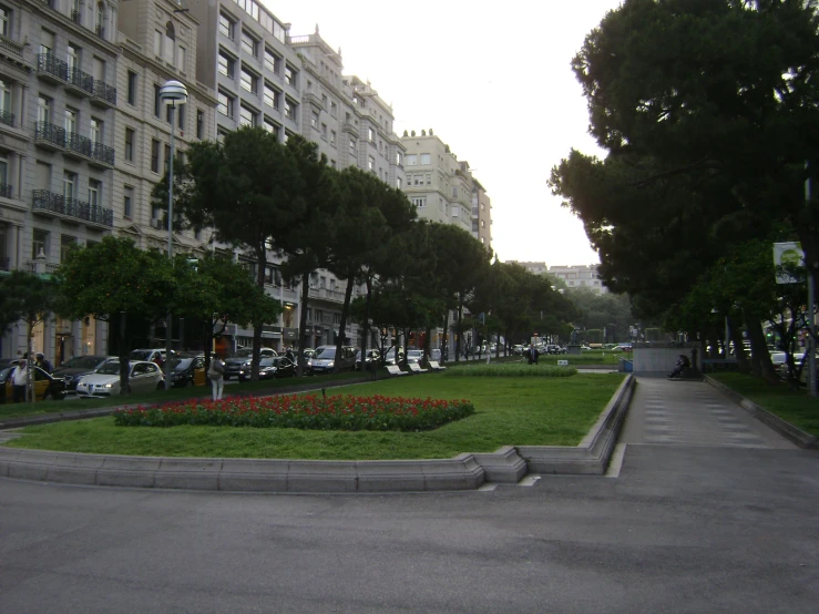 this street has lots of grass with flower bed