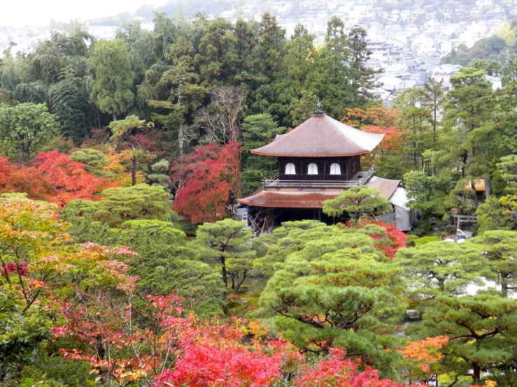 some trees and bushes and a building