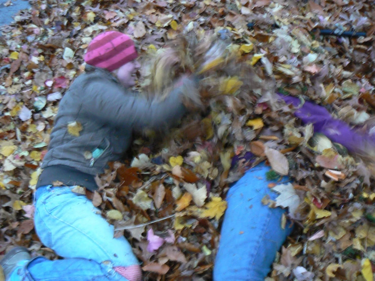 a group of people laying on top of a pile of leaves
