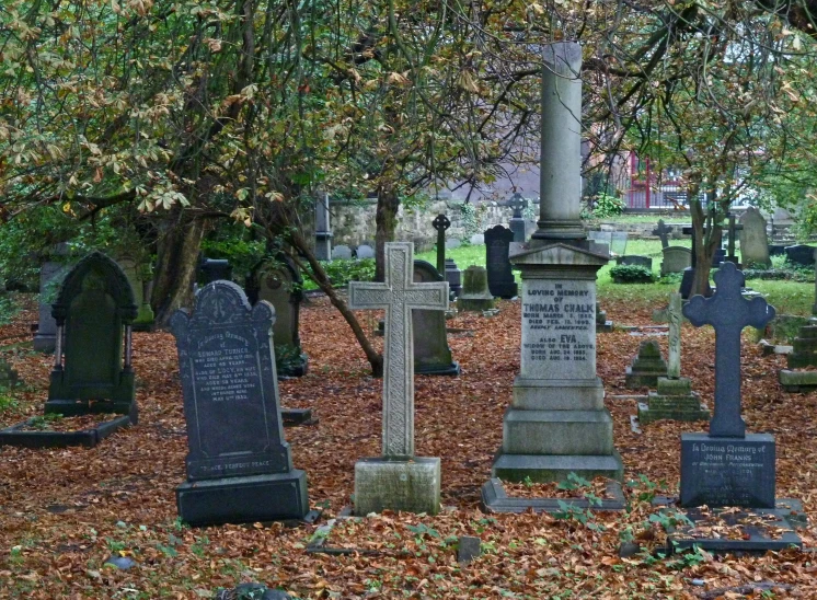 a group of tombstones sitting under a tree in a cemetery