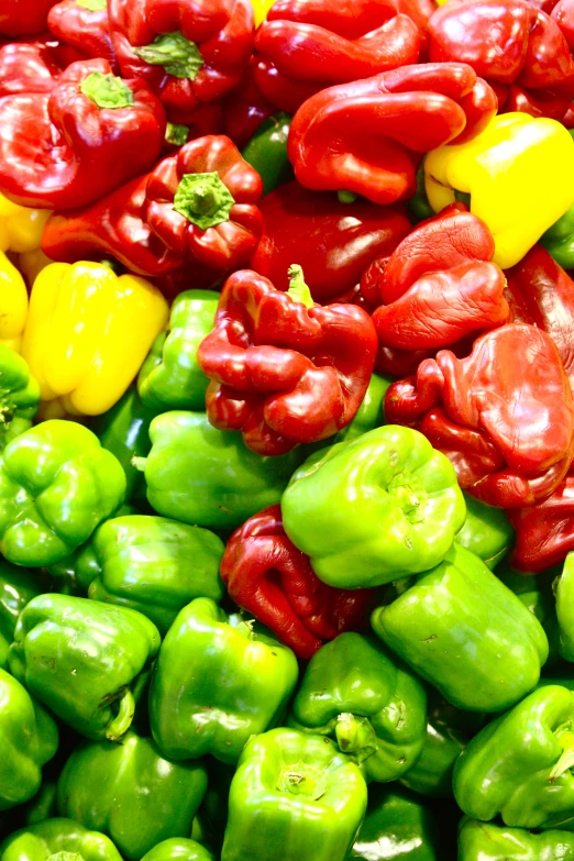 several peppers are arranged together and neatly colored