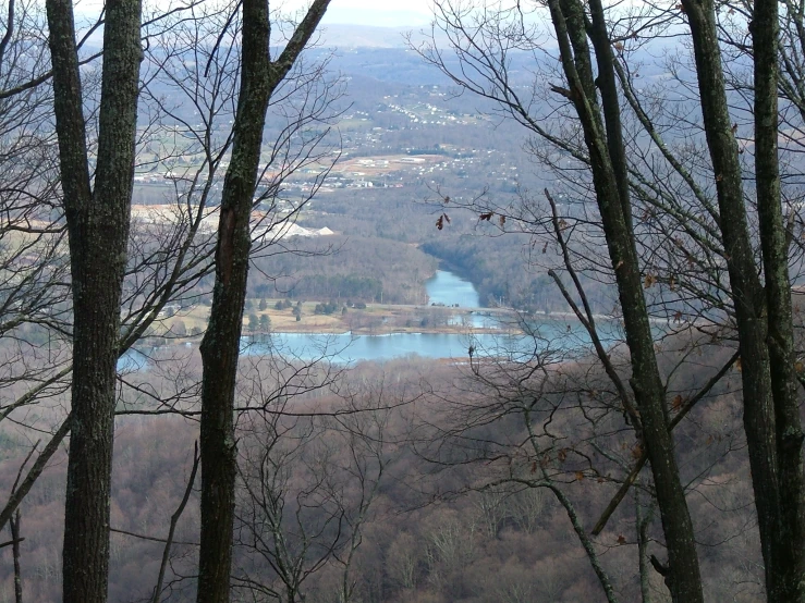 the view from a hill over a river surrounded by woods