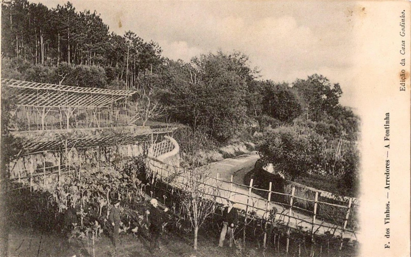 old black and white pograph of a house in the woods