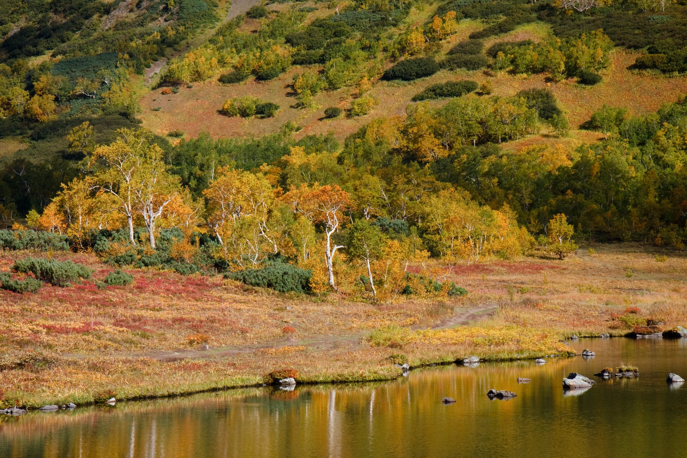 a body of water in the middle of fall