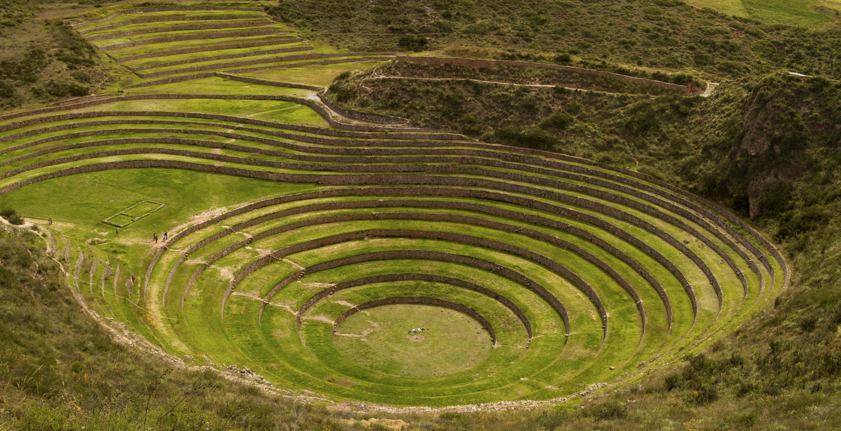 an intricate circular structure in a field that is surrounded by trees and grassy fields