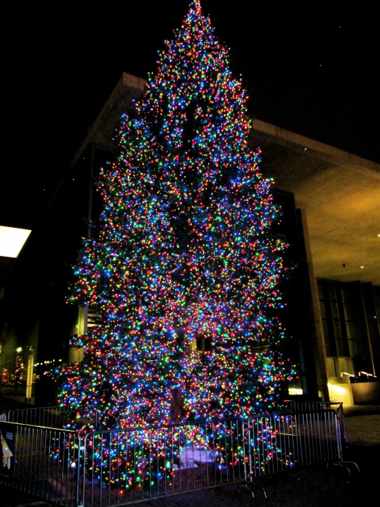 the large tree is lit up in colorful lights