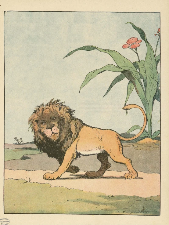 an illustration of a lion that is walking in the dirt