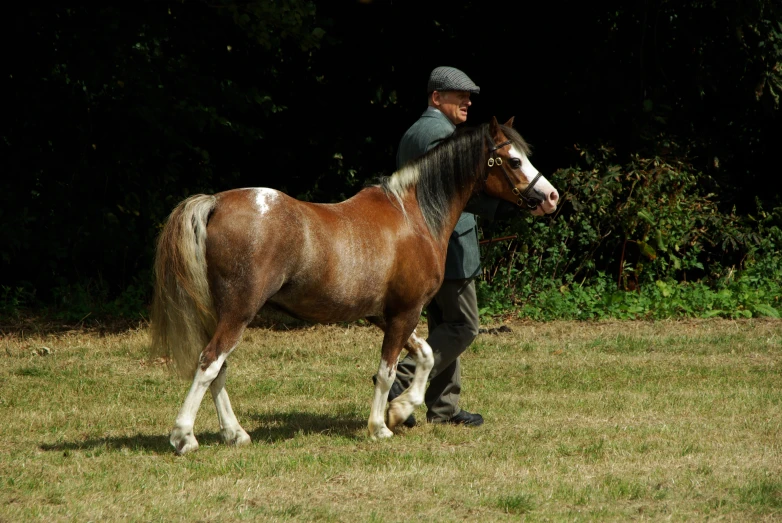 man standing with his horse in the pasture