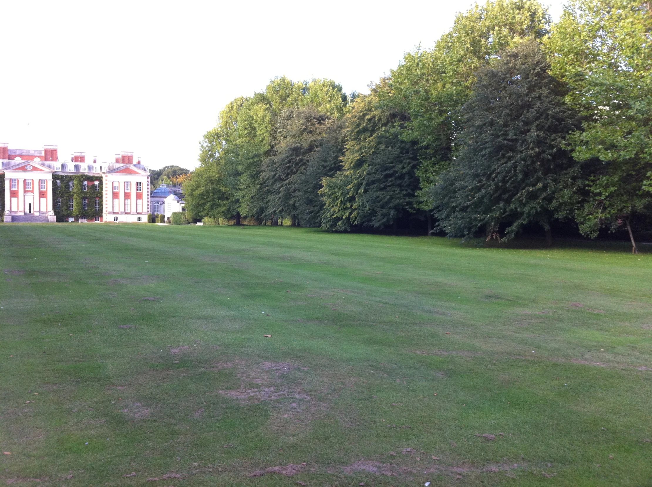 a grassy area with a large house in the background