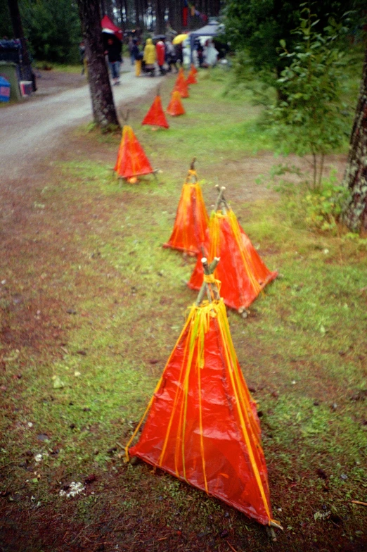 a lot of orange cones near some trees