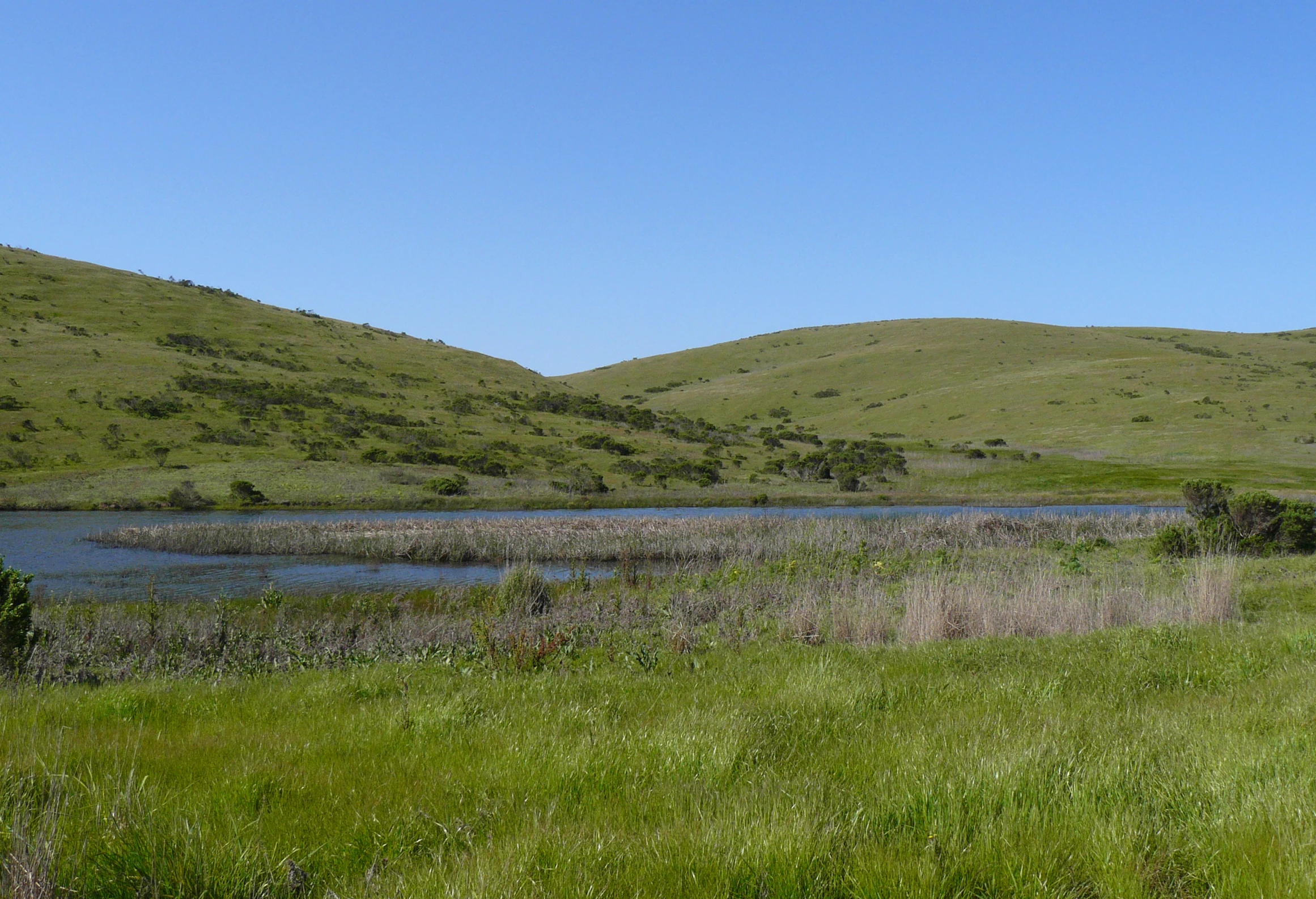 a body of water sitting next to a lush green hillside