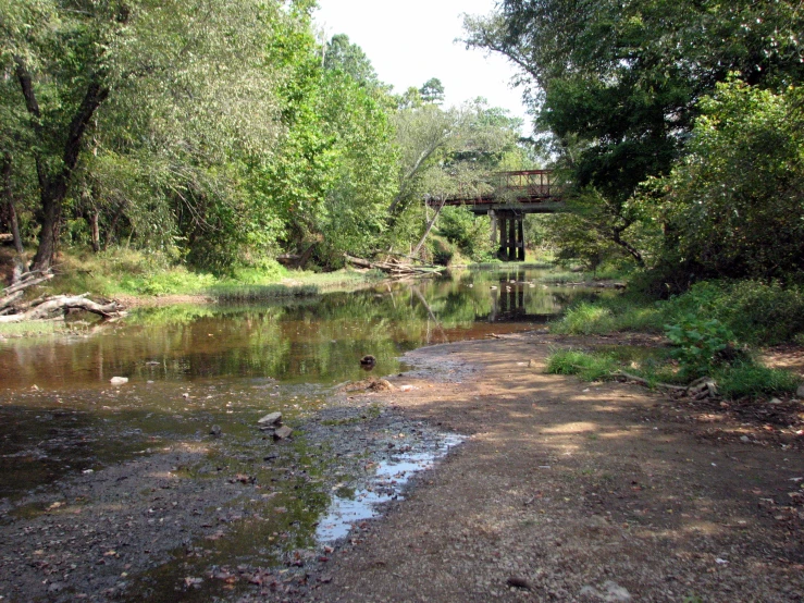 a creek with a small bridge in the background