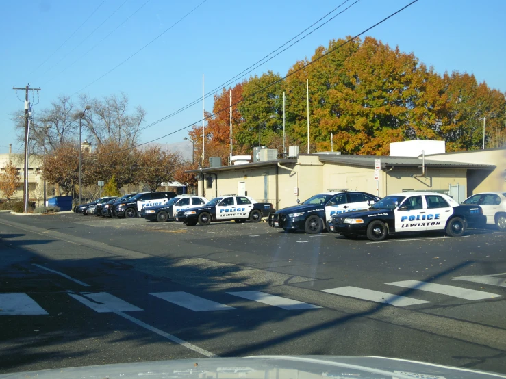 a bunch of police cars parked on the side of the road