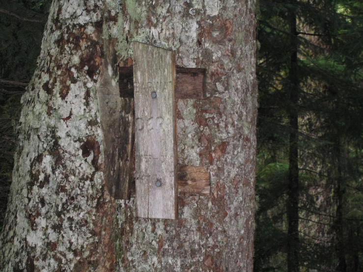 the old white wood is peeling and chipped off of