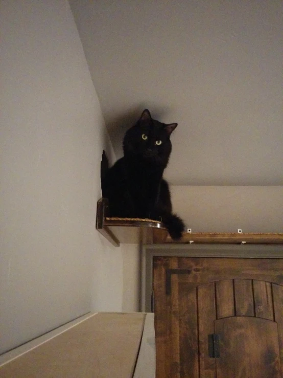 a black cat sitting on top of a wooden shelf