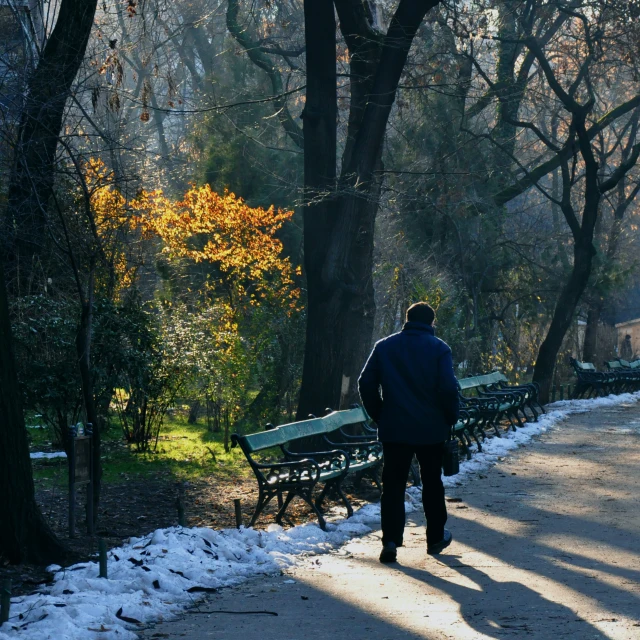 man walking down pathway in winter with trees and benches