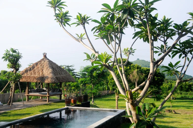 an open air spa in the middle of a lush green yard