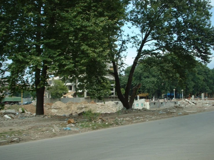 a tree sitting on the side of a street