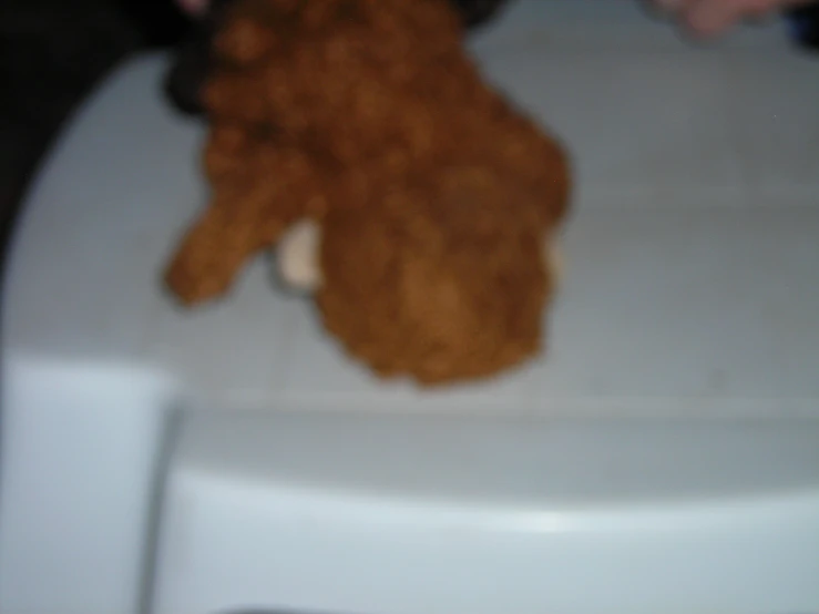 a small brown stuffed bear on the side of a toilet