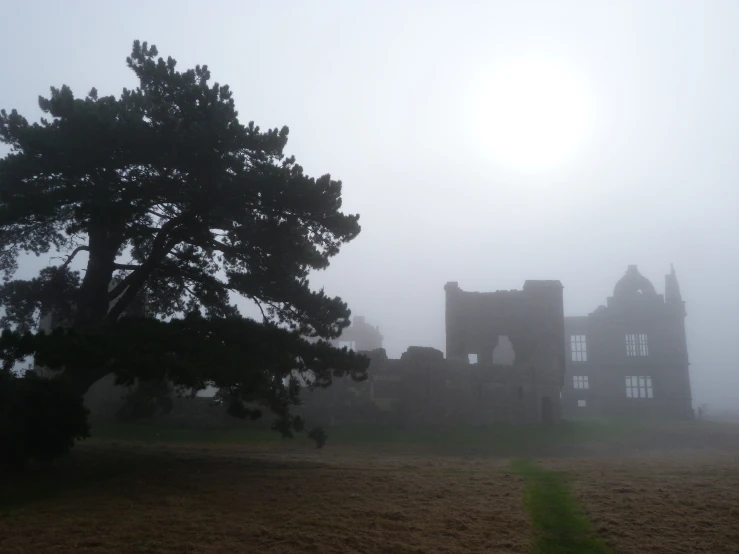 the ruins of a castle stand in the mist