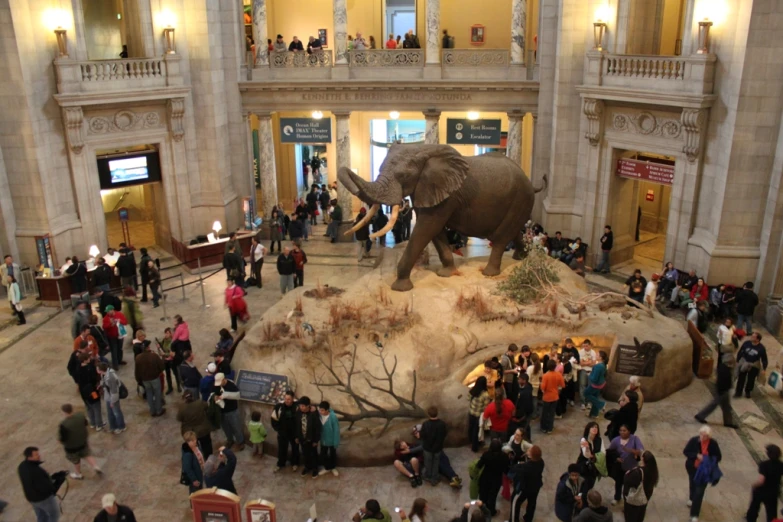 a large group of people are observing a display of an elephant