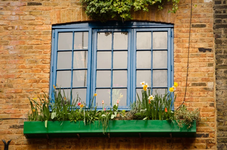 a window sill filled with plants next to a green window