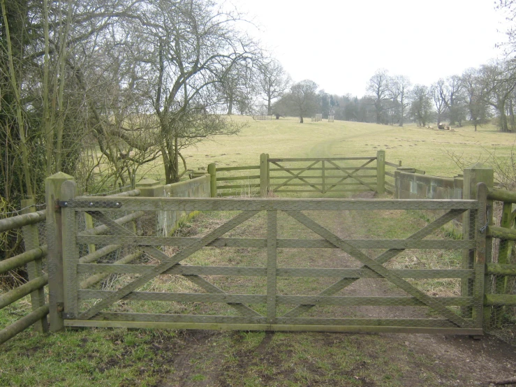 a gated pasture with a cow grazing in it