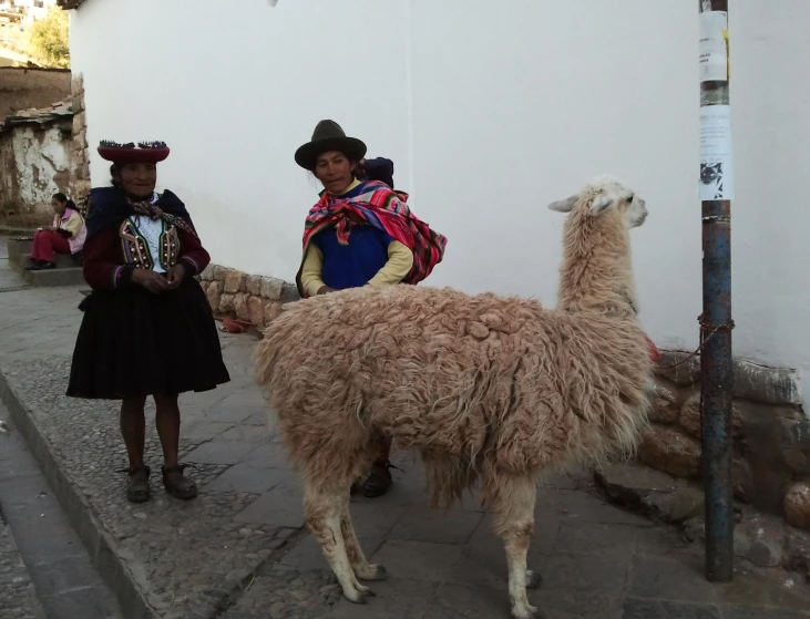 a woman in costume stands beside an alpaca