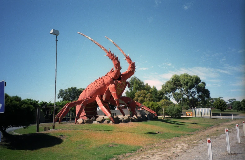 there is a big pink lobster that is very large