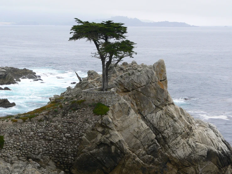 an lone tree on the edge of a rocky hill