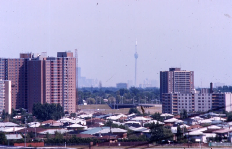 several tall buildings with some trees in the foreground