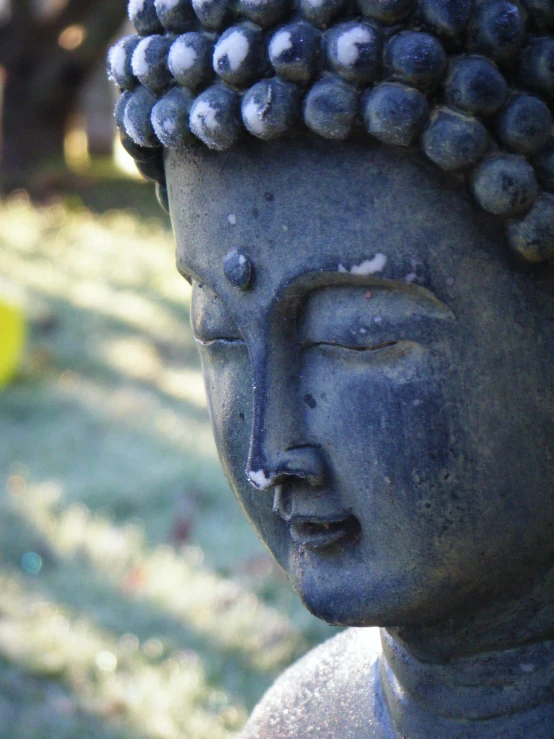 a buddha statue sitting outside with grass and flowers