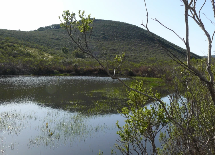 a mountain is in the background next to a lake