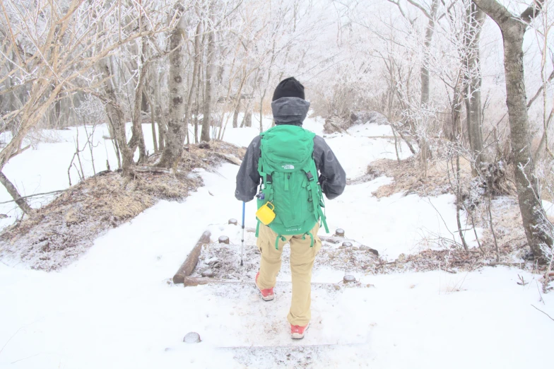 a man with hiking gear on walking through the woods in winter