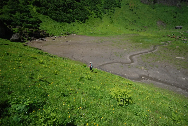 a lone person in the middle of a grassy area