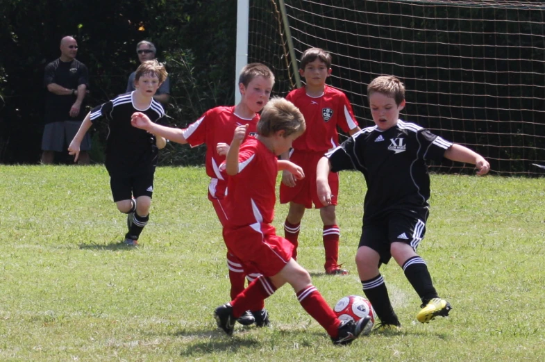 young children are kicking around a soccer ball