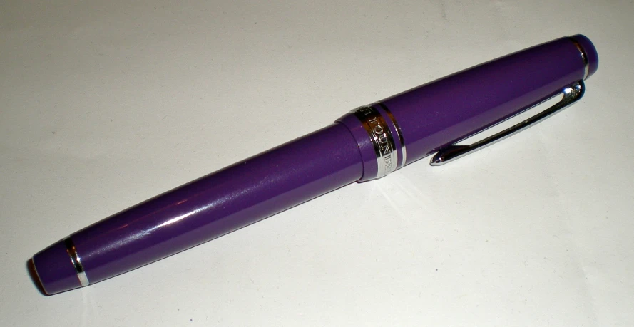 a purple fountain pen with a shiny silver trim